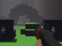 PGA4 image