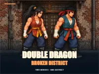 Double Dragon: Broken District image